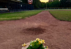 Willie_Mays_Park (2)